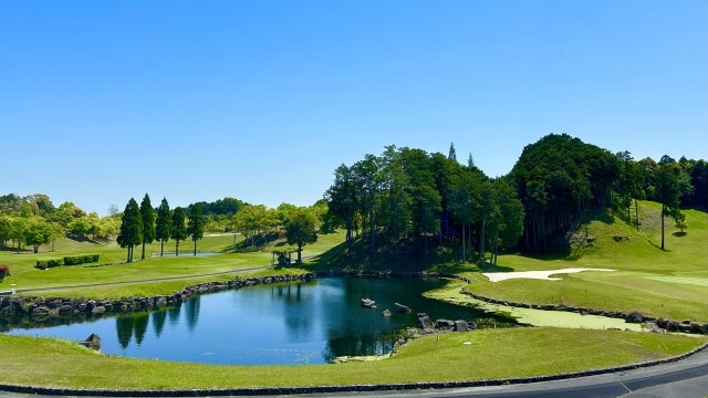 各ボールの特徴とメリット