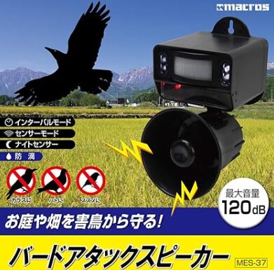 音鳴りガジェットの活用2